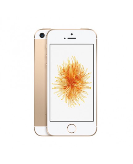 iPhone SE